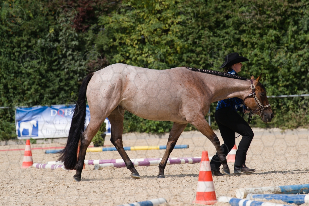 s_batch_A9_00162.jpg